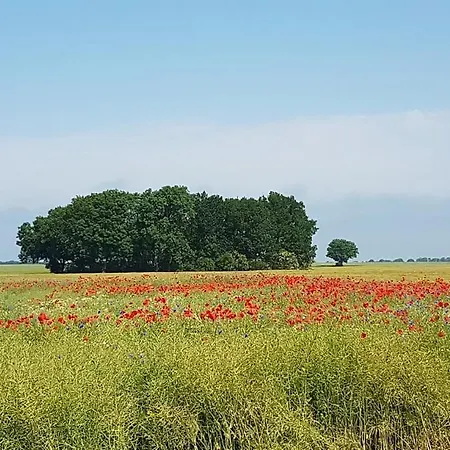 Ruegenherz Piratenhaus